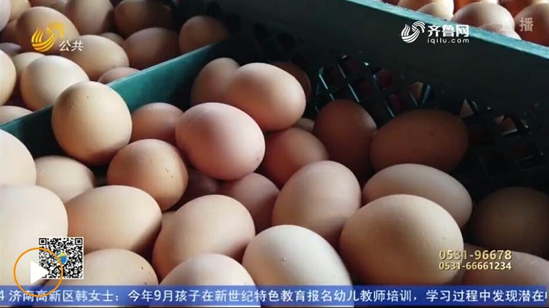 廠家飼料添加劑偷加禁用抗生素，導致上百噸雞蛋被銷毀1