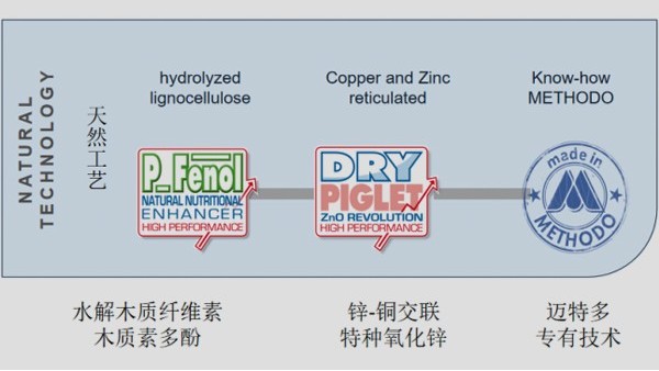 【替抗安全】飼料造假事件頻發(fā)，安全的替抗添加劑該去哪里尋找？