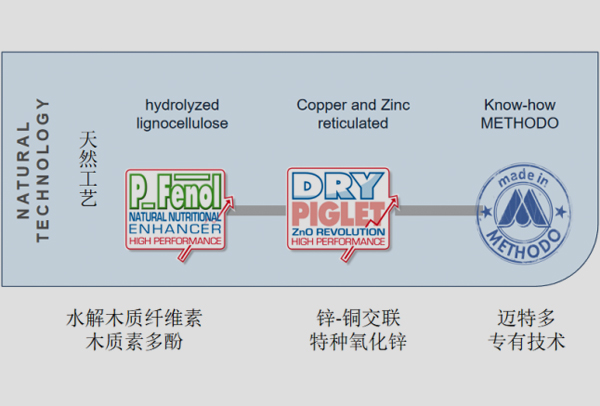 【替抗安全】飼料造假事件頻發，安全的替抗添加劑該去哪里尋找2