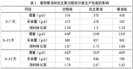 【替抗方案】植物精油給禽畜帶來了哪些影響1