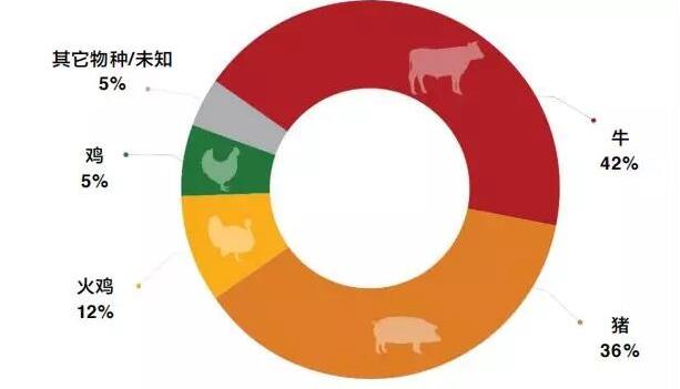 禁抗迫在眉睫 禽業先行