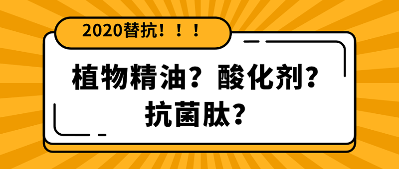 【2020替抗】倒計時開啟，飼料替抗添加劑你還分不清怎么用1