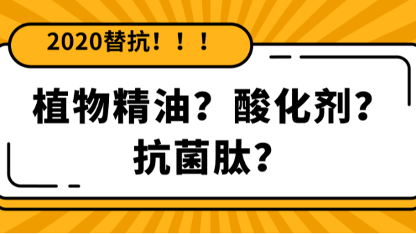 【2020替抗】倒計(jì)時(shí)開啟，飼料替抗添加劑你還分不清怎么用？