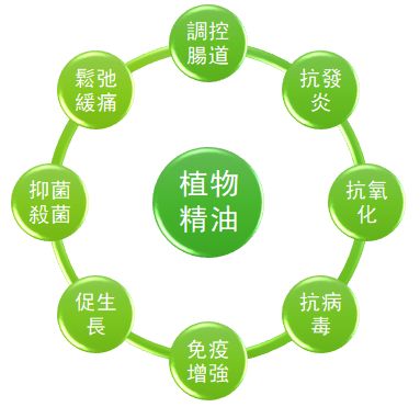 飼用植物精油助力禁抗減鋅3