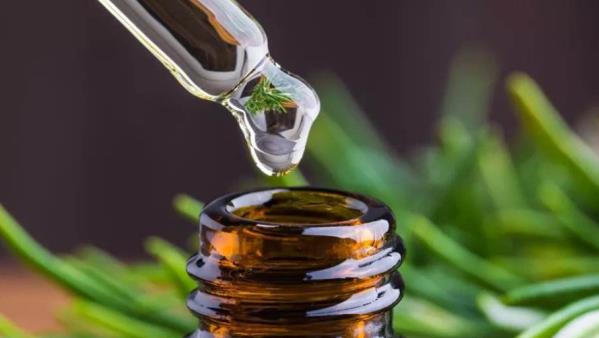你想知道得關于植物精油的一切都在這里了！