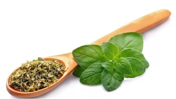 牛至：一款堪稱“天然抗生素”的精油