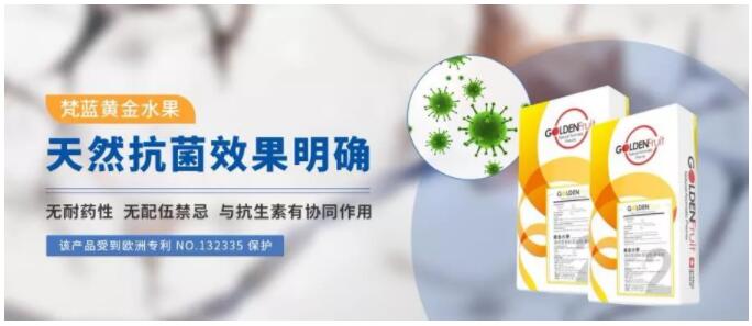 植物精油替代抗生素的應用1