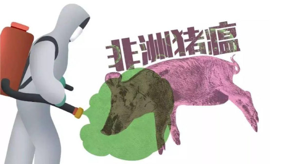 后非洲豬瘟時代，怎樣選擇安全的飼料添加劑產品？