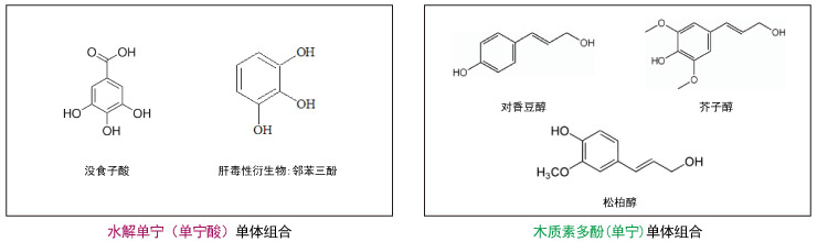 水解單寧單體組合