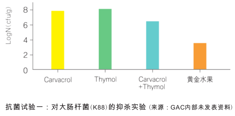植物精油-黃金水果抗菌實(shí)驗(yàn)一