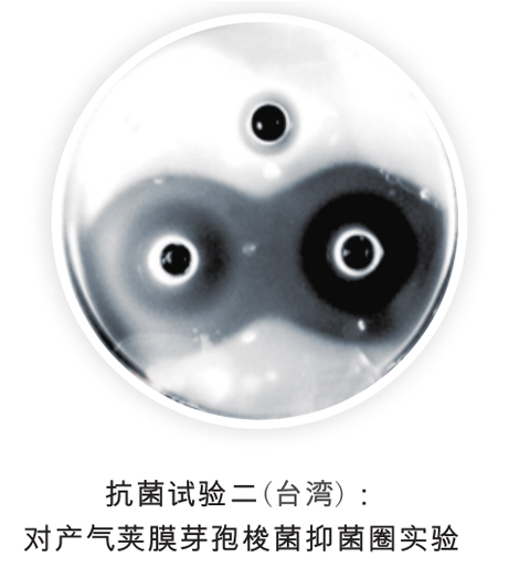 植物精油-黃金水果抗菌實(shí)驗(yàn)二