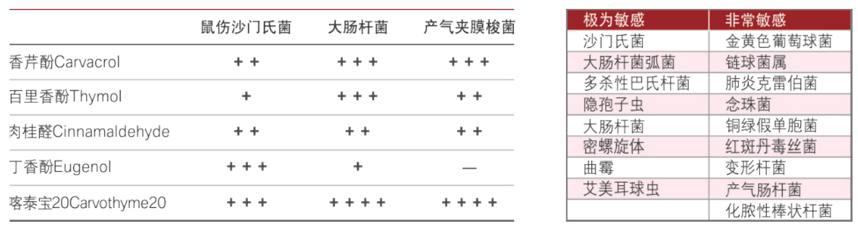 溶水精油-喀泰寶20