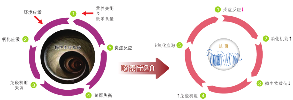 溶水精油-喀泰寶20