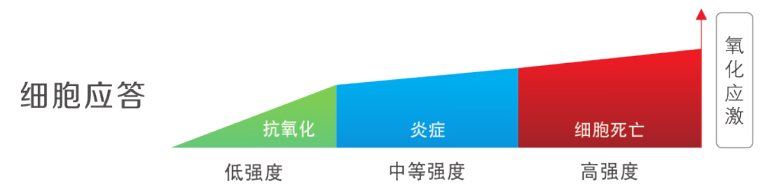 溶水精油-喀泰寶20