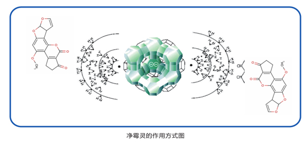 凈霉靈作用方式圖
