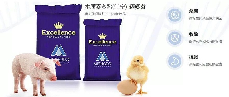 梵藍國際合作商系列之全球植物化學領導者意大利邁特多5