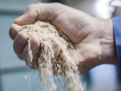 單寧酸的營養生理功能及其在單胃動物生產中的應用研究