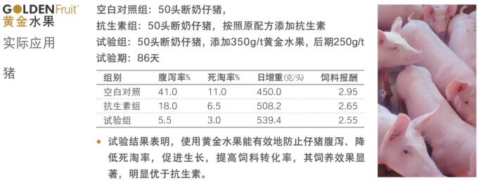 替抗方案,你選對了么222