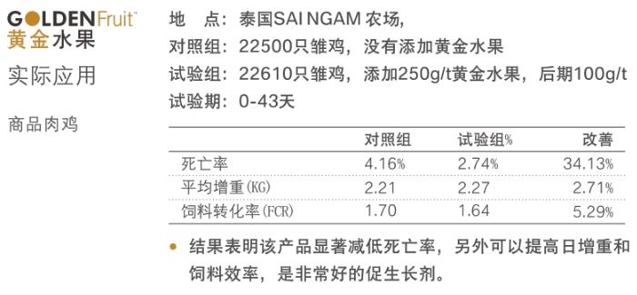 飼用精油-黃金水果 肉雞實驗