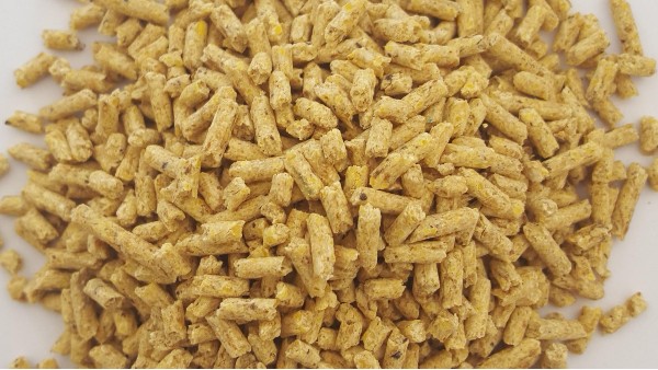 飼料用精油目前在飼料應用上存在的主要障礙