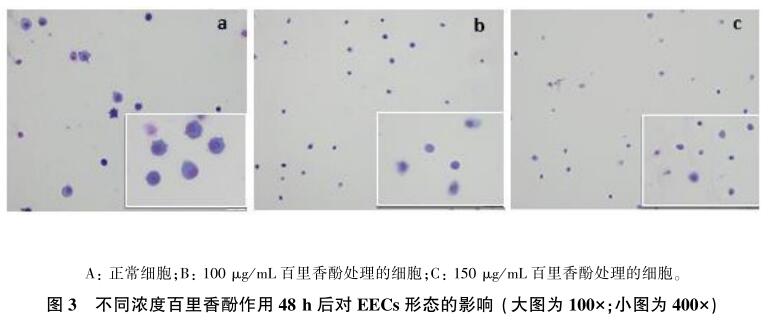 百里香酚對山羊子宮內膜上皮細胞的體外毒活性研究3
