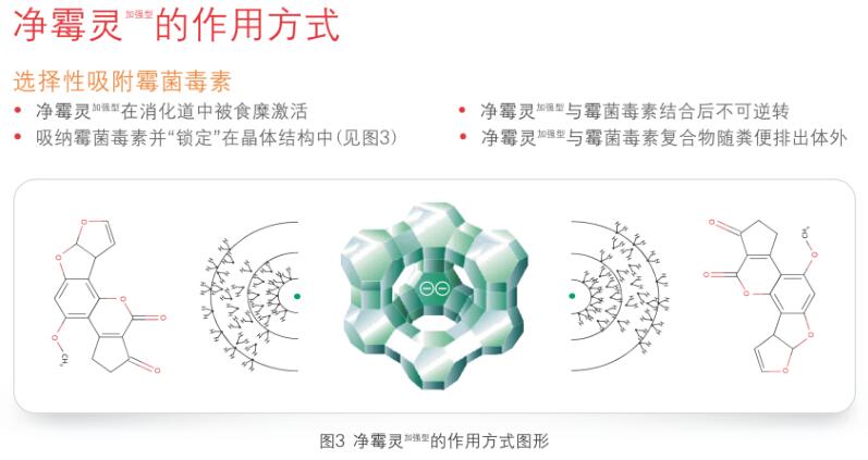 梵藍(lán)國(guó)際合作商系列之歐洲霉菌毒素吸附劑專家-瑞士?jī)?yōu)博特6