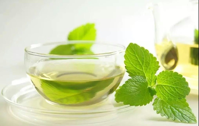 植物精油會像抗生素一樣產(chǎn)生耐藥性嗎？2