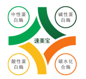 梵藍國際合作商系列之全球生物飼料技術(shù)領(lǐng)域引領(lǐng)者加拿大生物系統(tǒng)公司3