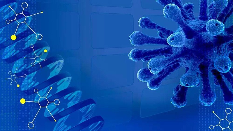 非洲豬瘟疫苗研發有多難？聽聽科學家怎么說！