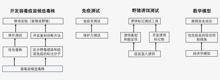 為什么非瘟、新冠疫苗都那么難？ —非洲豬瘟不能用草率的疫苗來解決222