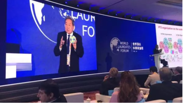非瘟病毒的4個重要抗原表位被發現，為疫苗研發提供核心信息！